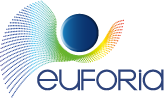 First user committee EUFORIA Project
